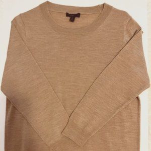 JCrew Merino Wool CrewNeck Sweater